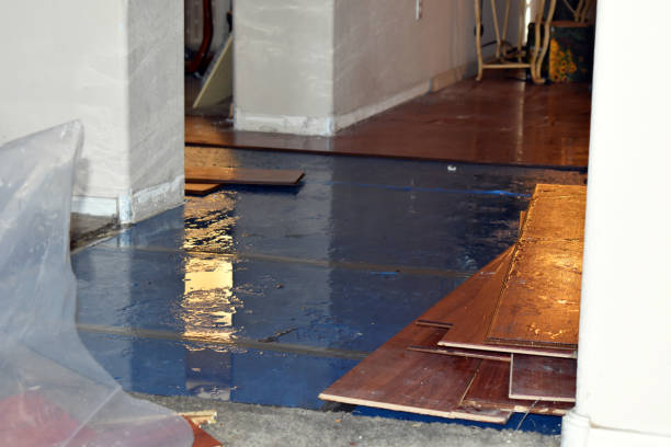 Professional Basement Flood Cleanup technician working in North Star, OH